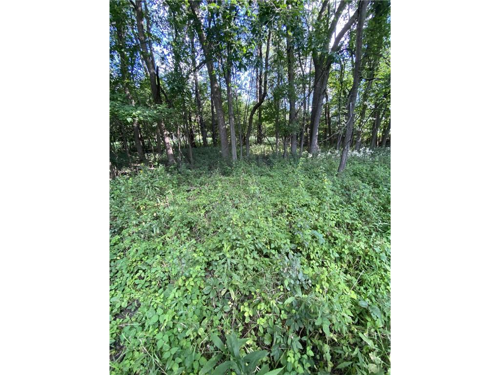 20072 Lander Street NW Elk River MN 55330 6715317 image24