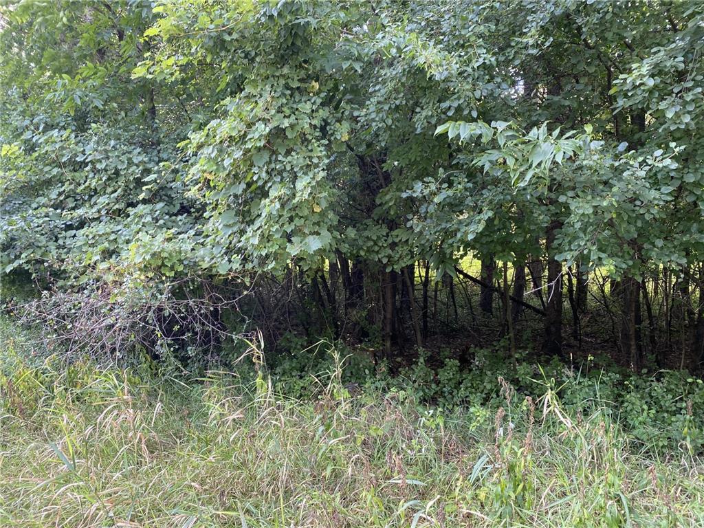 20072 Lander Street NW Elk River MN 55330 6715317 image25