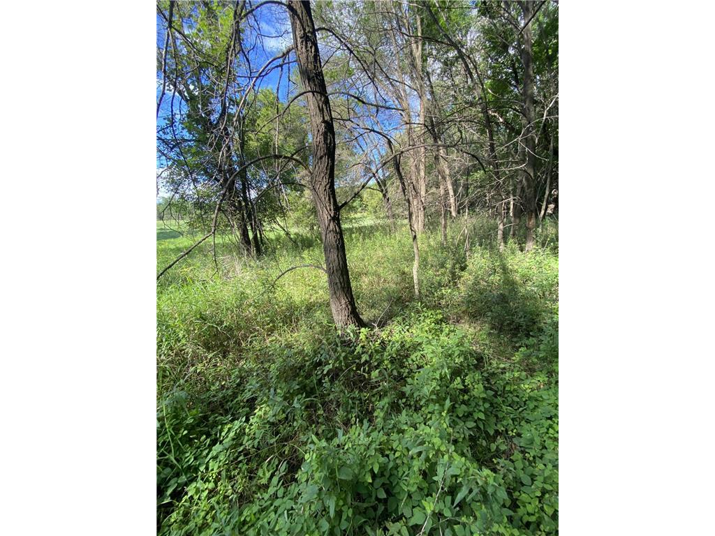 20072 Lander Street NW Elk River MN 55330 6715317 image27