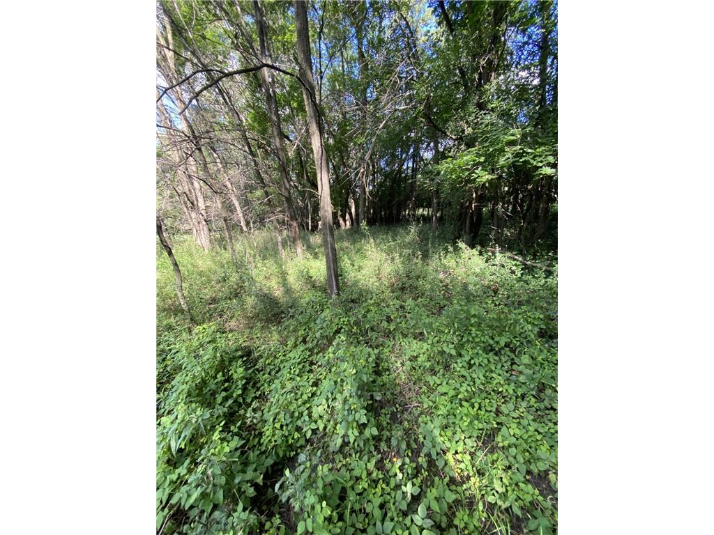 20072 Lander Street NW Elk River MN 55330 6715317 image29