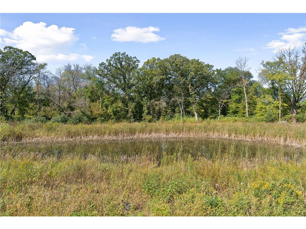 20076 80th Avenue Corcoran MN 55340 6819844 image29