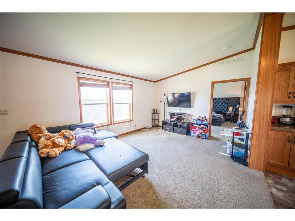 2009 Osprey Pl NW Stewartville MN 55976 6724314 image12