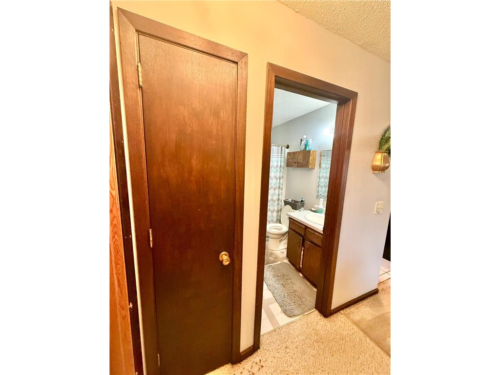 20091 Red Wing Boulevard Ravenna Twp MN 55033 6806227 image20