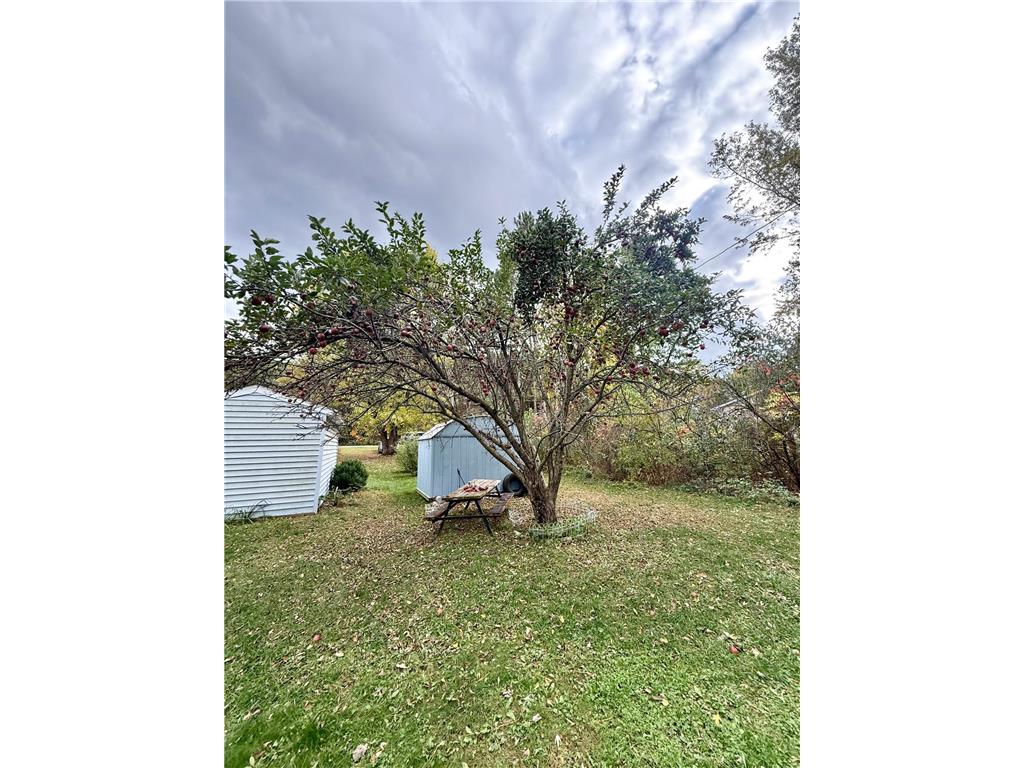 20091 Red Wing Boulevard Ravenna Twp MN 55033 6806227 image46