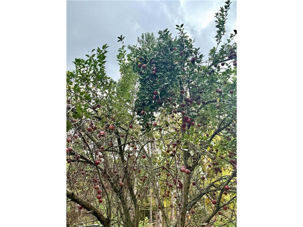 20091 Red Wing Boulevard Ravenna Twp MN 55033 6806227 image47