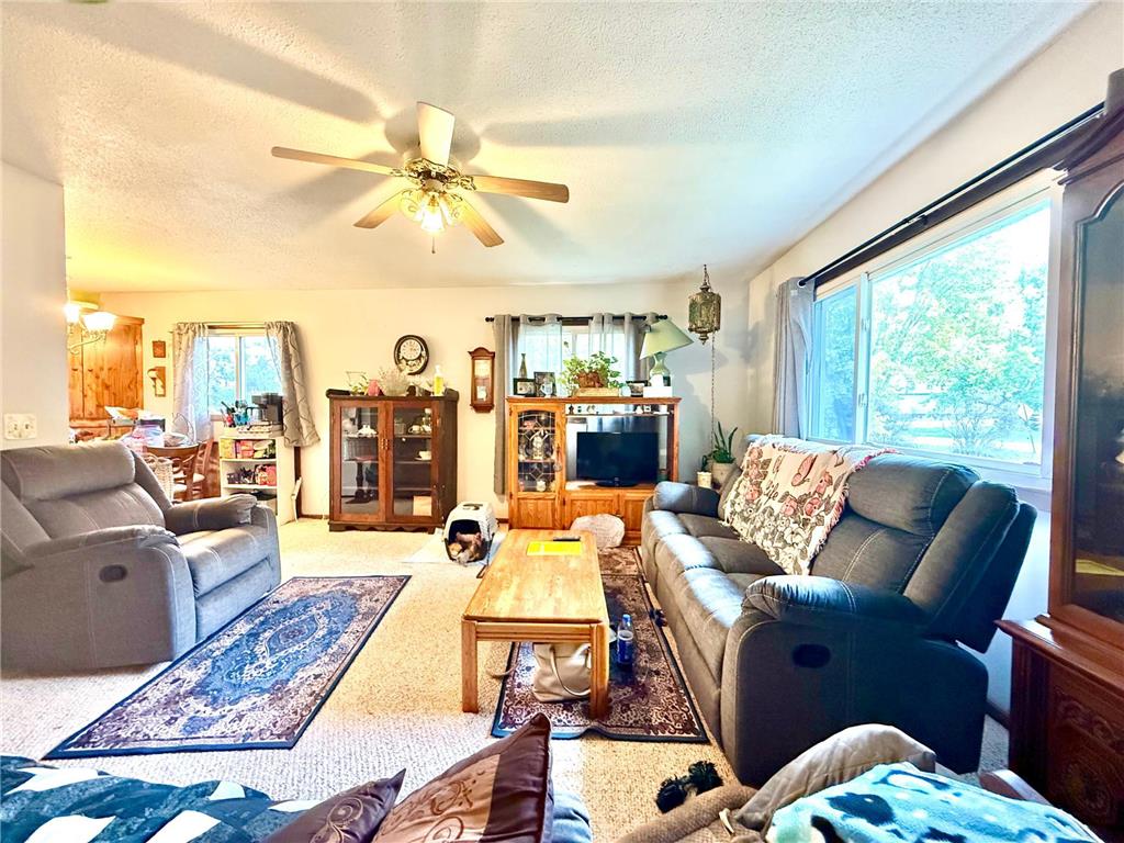 20091 Red Wing Boulevard Ravenna Twp MN 55033 6806227 image6