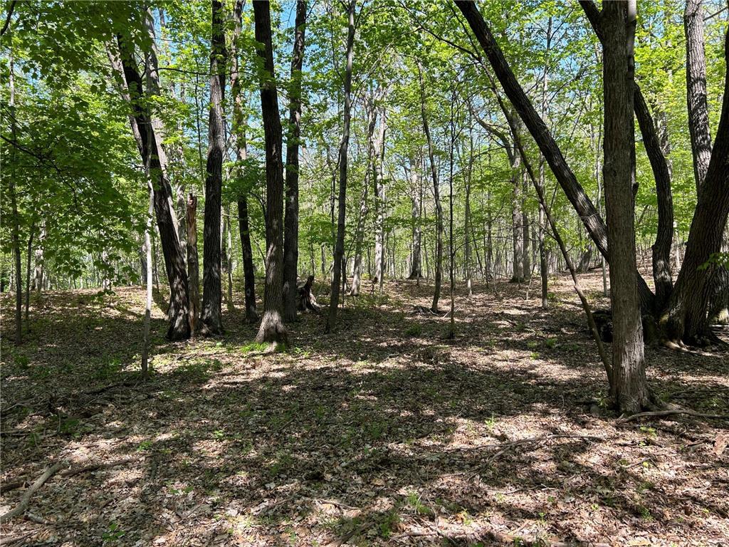 200XX Maxwill Avenue N, Scandia, MN, 55073 MLS 6542754 Edina Realty