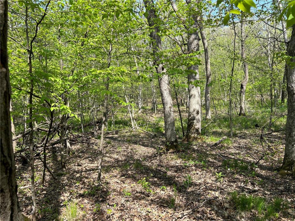 200XX Maxwill Avenue N, Scandia, MN, 55073 MLS 6542754 Edina Realty