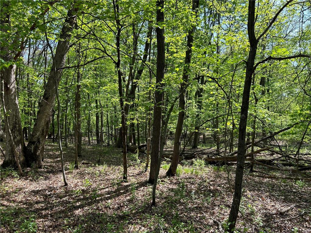 200XX Maxwill Avenue N, Scandia, MN, 55073 MLS 6542754 Edina Realty