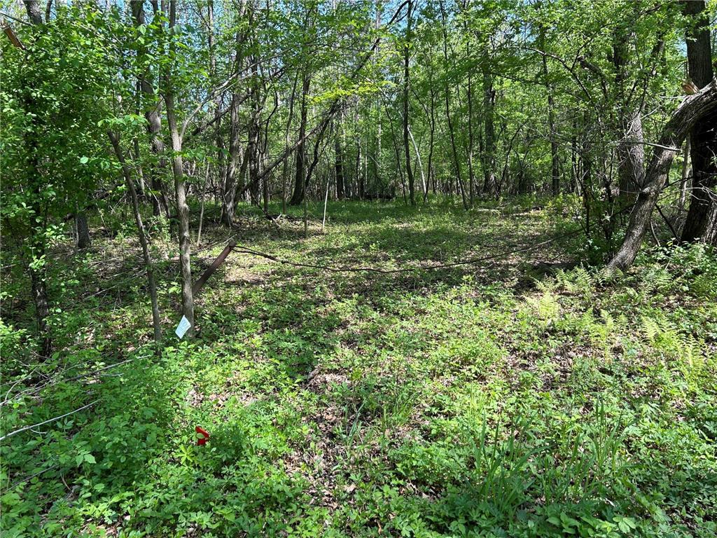 200XX Maxwill Avenue N, Scandia, MN, 55073 MLS 6542754 Edina Realty