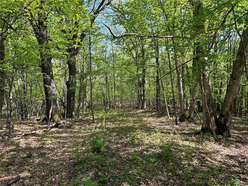 200XX Maxwill Avenue N, Scandia, MN, 55073 MLS 6542754 Edina Realty