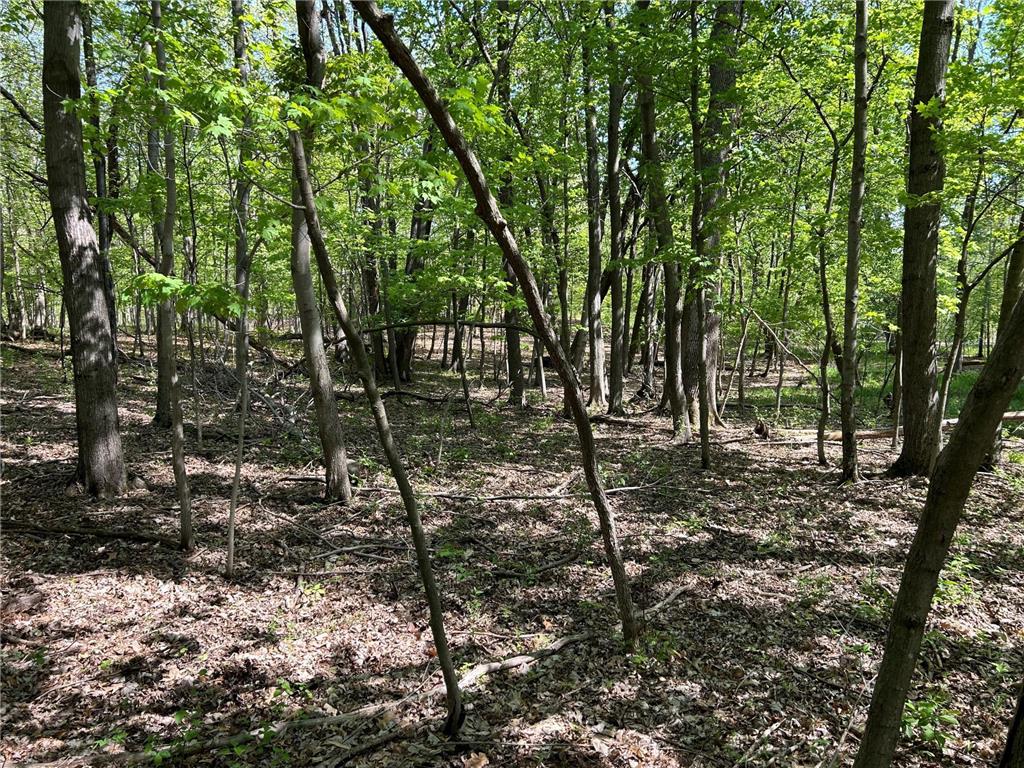 200XX Maxwill Avenue N, Scandia, MN, 55073 MLS 6542754 Edina Realty