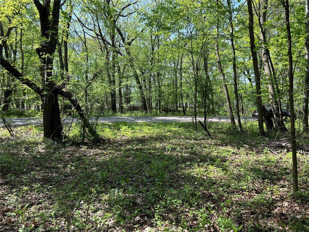 200XX Maxwill Avenue N, Scandia, MN, 55073 MLS 6542754 Edina Realty