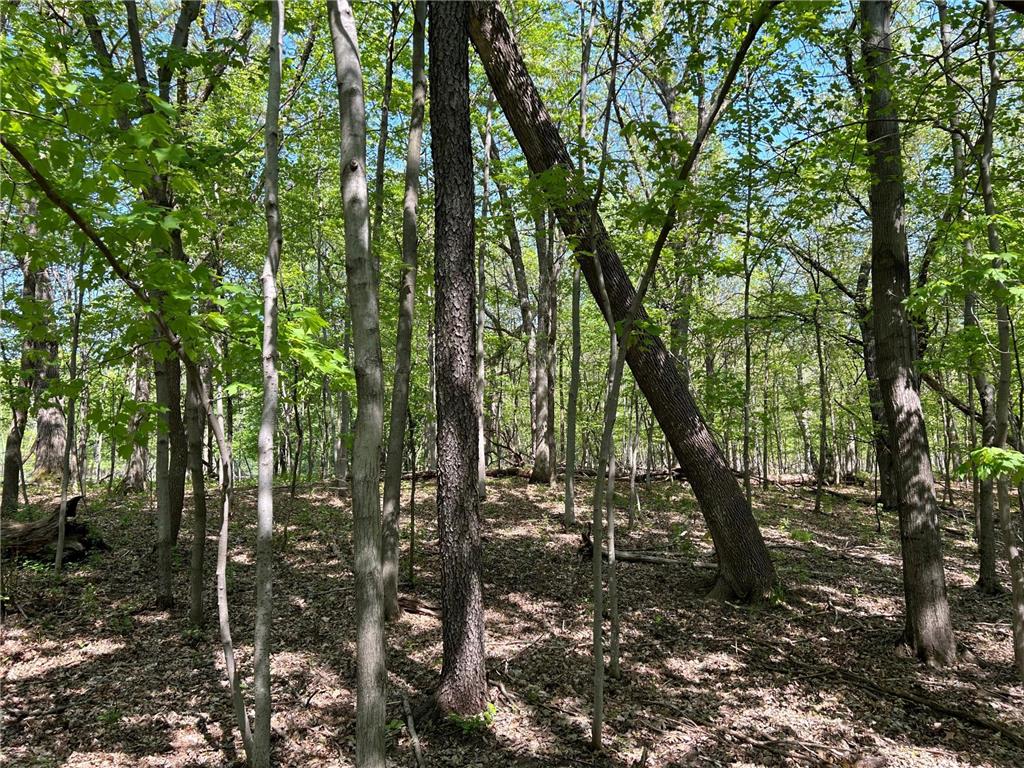 200XX Maxwill Avenue N, Scandia, MN, 55073 MLS 6542754 Edina Realty