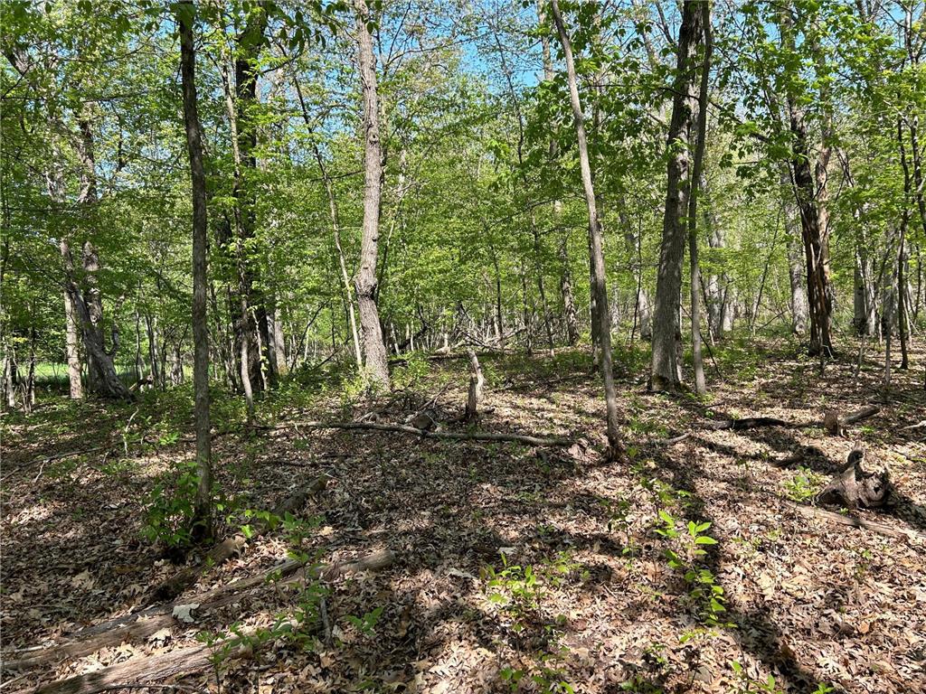 200XX Maxwill Avenue N, Scandia, MN, 55073 MLS 6542754 Edina Realty