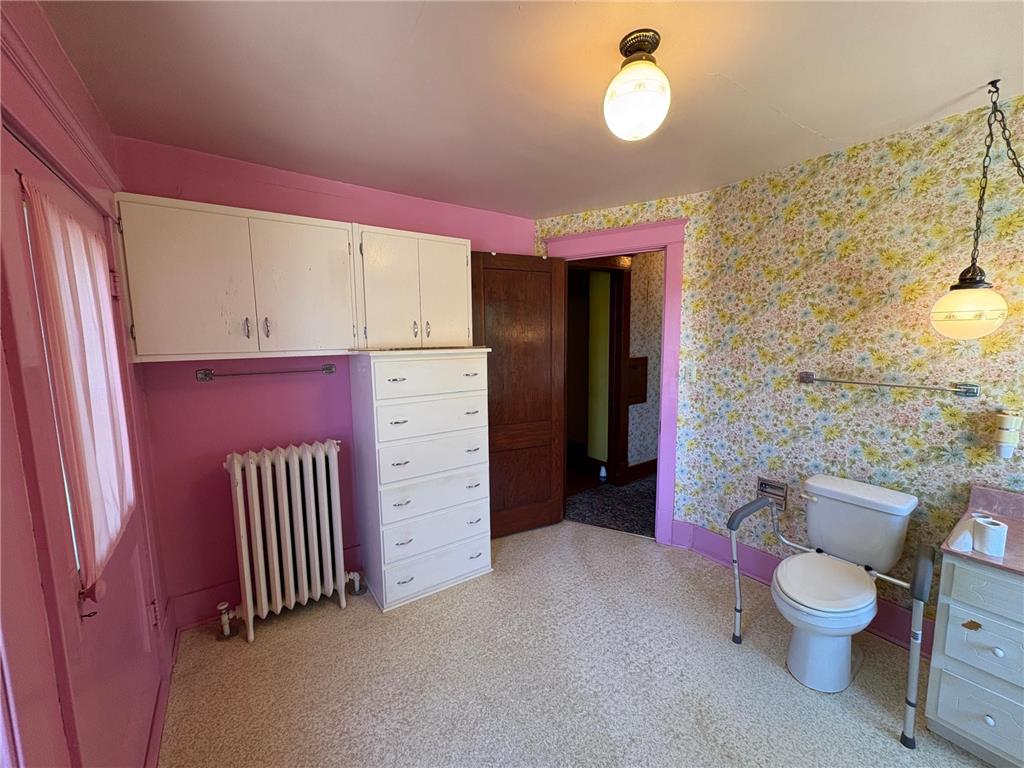 201 3rd Street SE Renville MN 56284 6749328 image18