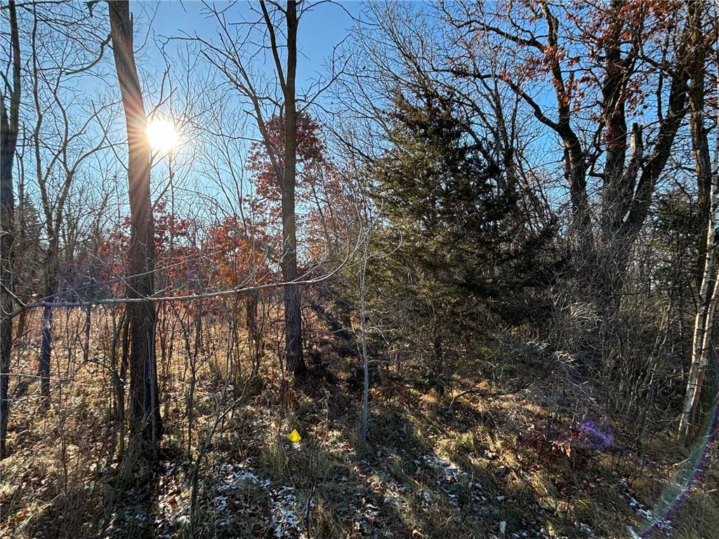 201 High Drive Sartell MN 56377 6635967 image5