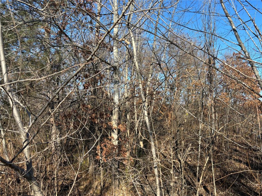 201 High Drive Sartell MN 56377 6635967 image6