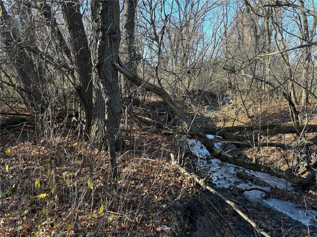 201 High Drive Sartell MN 56377 6635967 image7