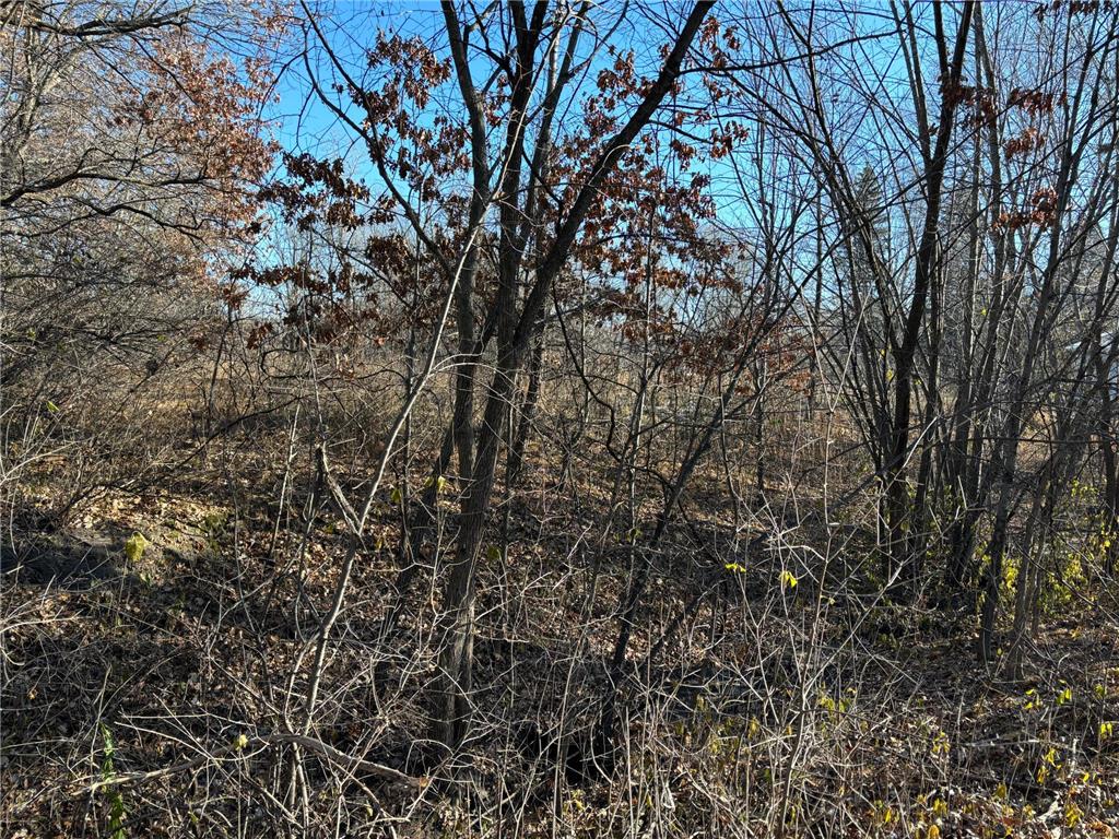 201 High Drive Sartell MN 56377 6635967 image9