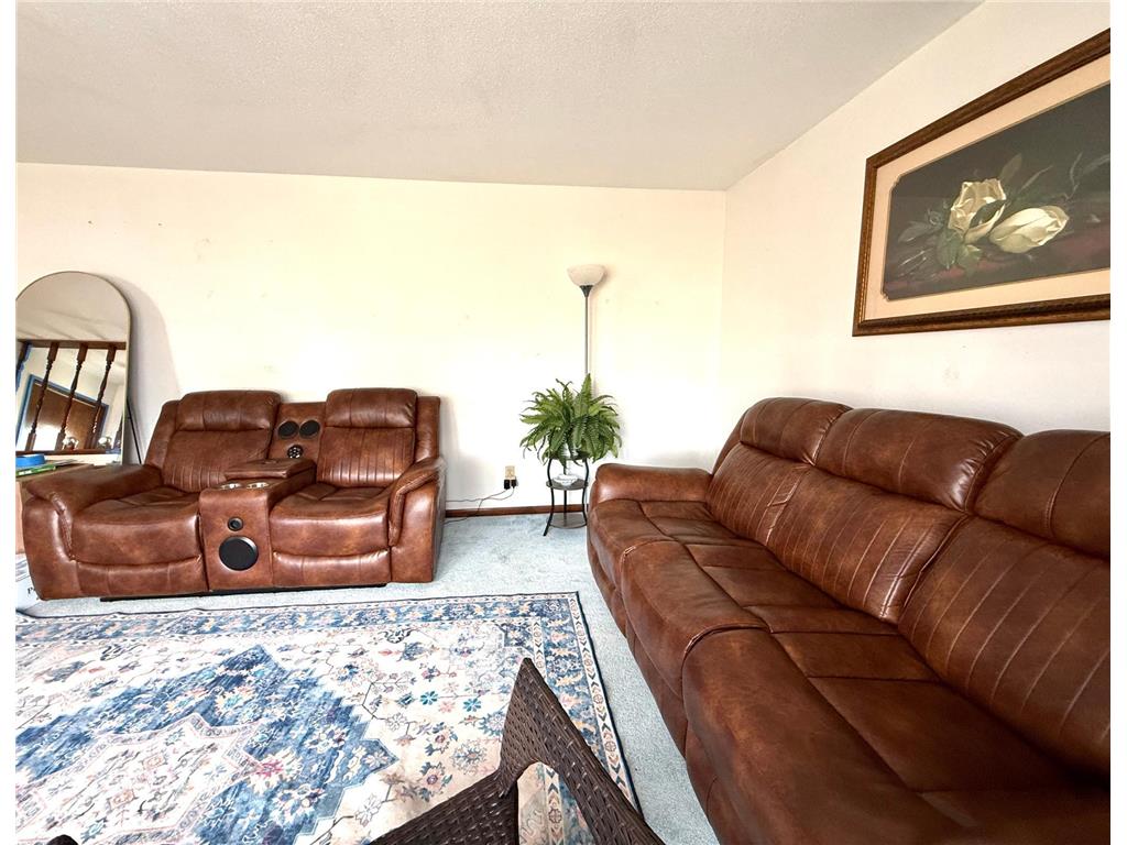 201 Main Avenue Chandler MN 56122 7024330 image6