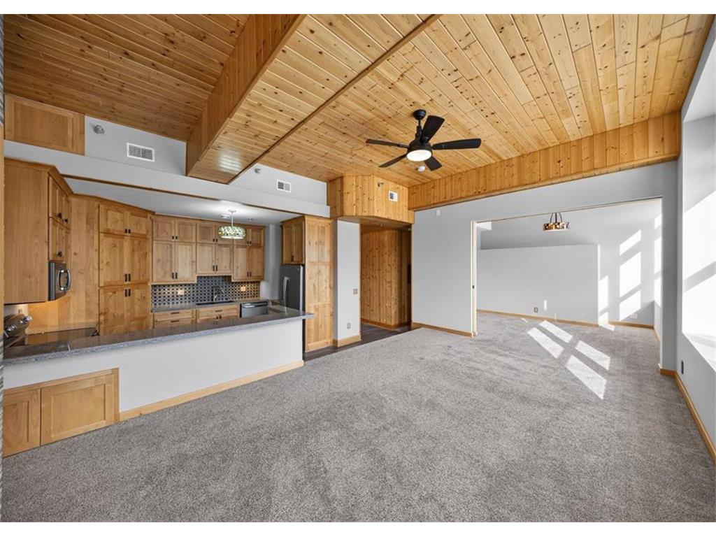 201 Ridgeview Lane S #201 Lanesboro MN 55949 7057008 image4