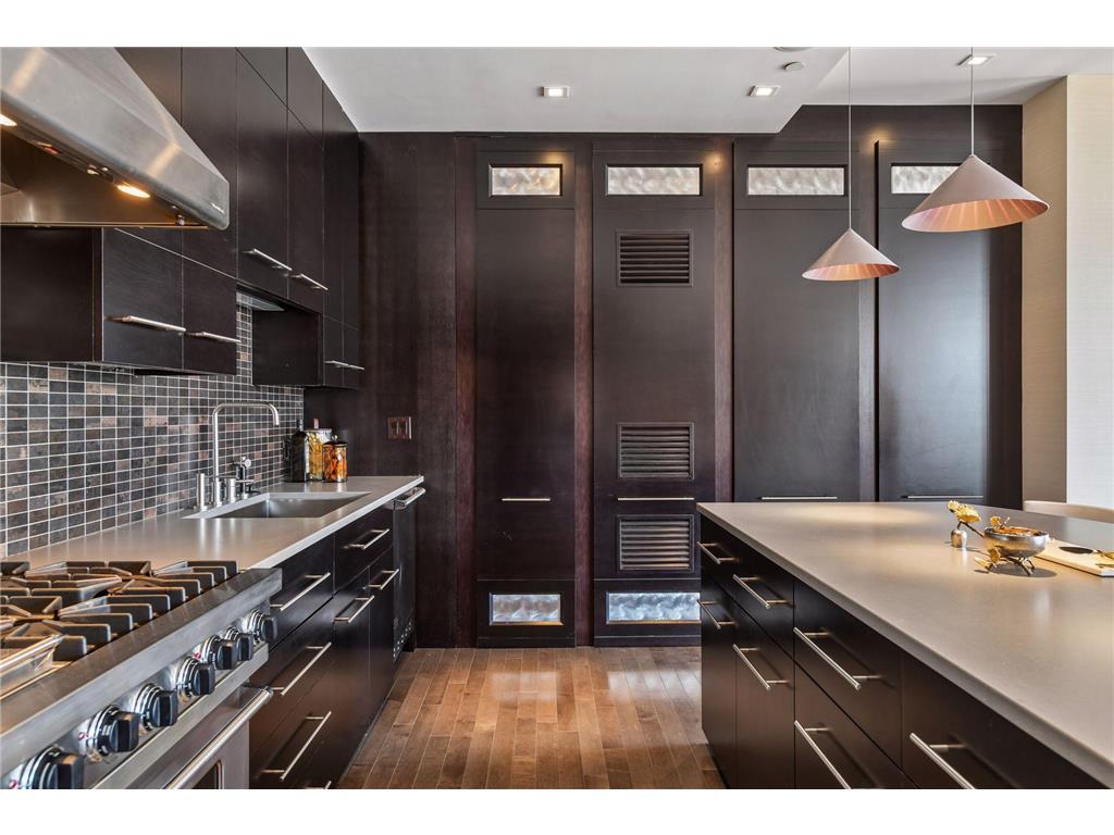 201 S 11th Street #1120 Minneapolis MN 55403 6799097 image14