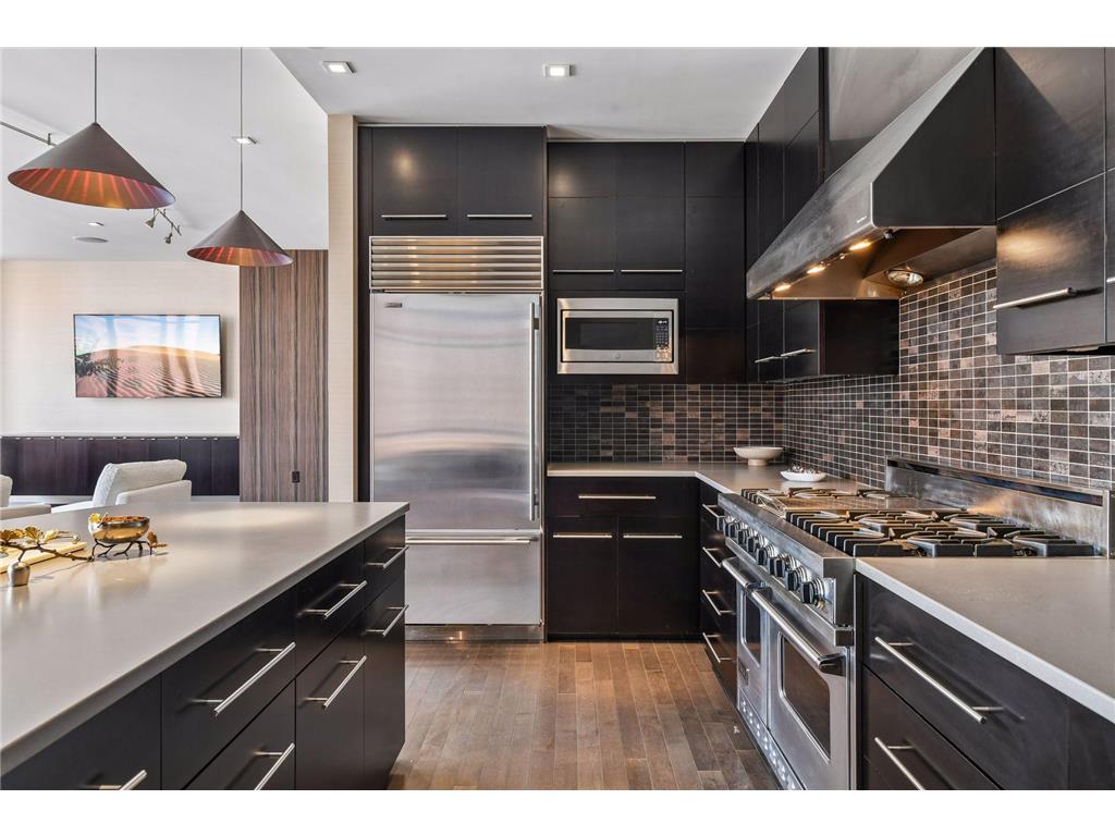 201 S 11th Street #1120 Minneapolis MN 55403 6799097 image18