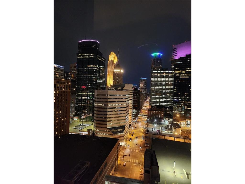 201 S 11th Street #2100 Minneapolis MN 55403 7032155 image34