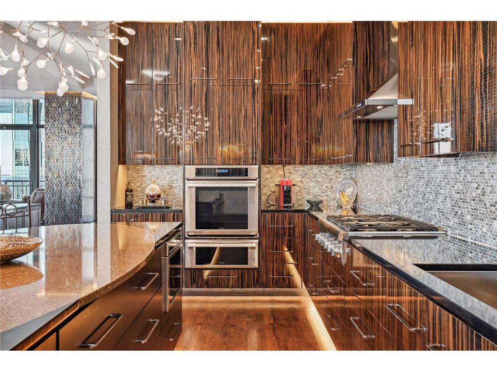 201 S 11th Street #2500 Minneapolis MN 55403 7037938 image31