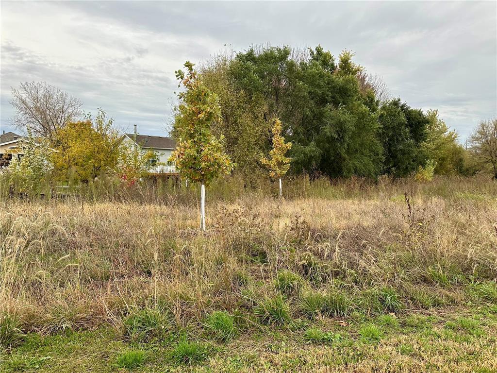 201 Snowdrop Trail Waconia MN 55387 7058855 image29