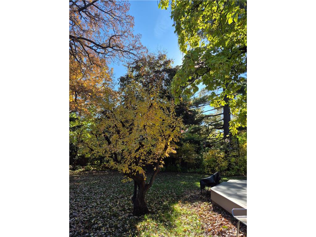 201 W 48th Street Minneapolis MN 55419 7050213 image32