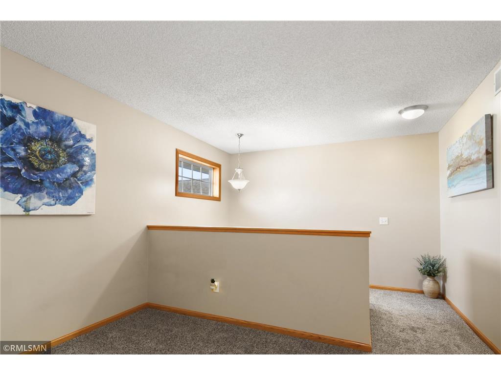 20100 Cabrilla Way Empire Twp MN 55024 7064020 image19
