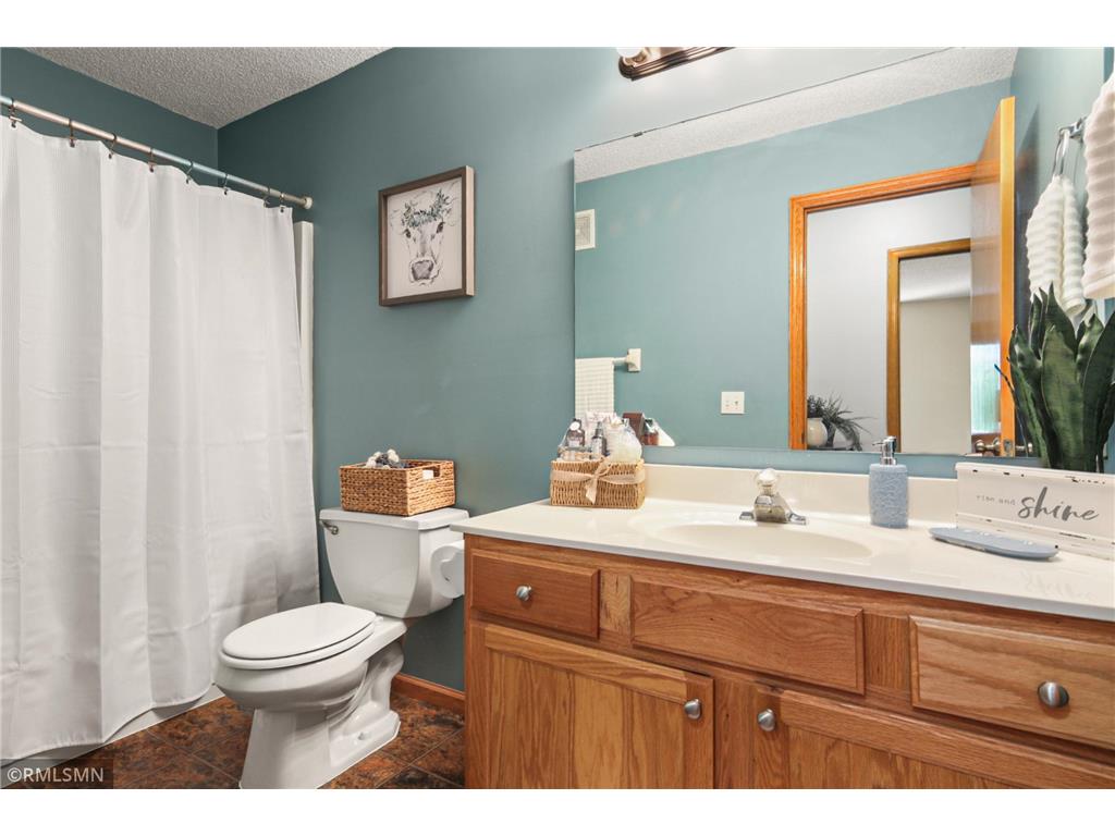 20100 Cabrilla Way Empire Twp MN 55024 7064020 image20