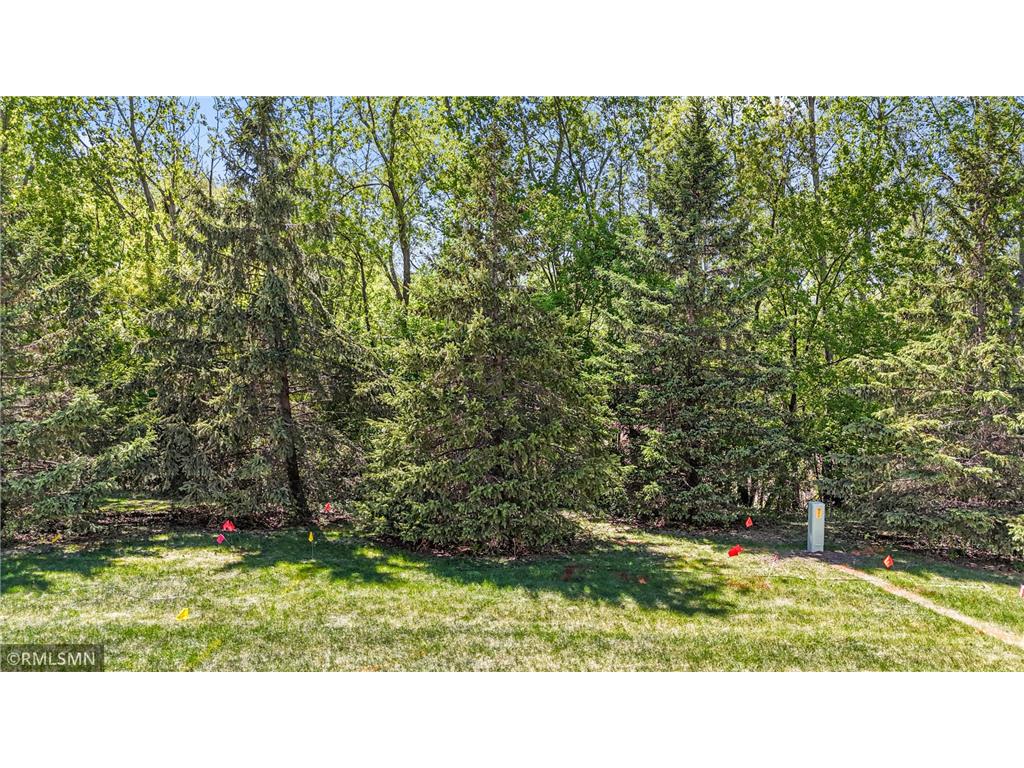 20100 Cabrilla Way Empire Twp MN 55024 7064020 image25