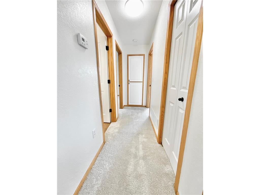 2011 Lake View Drive Jordan MN 55352 7103551 image16