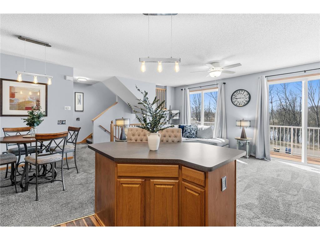 20116 Holister Lane Lakeville MN 55044 7042766 image1