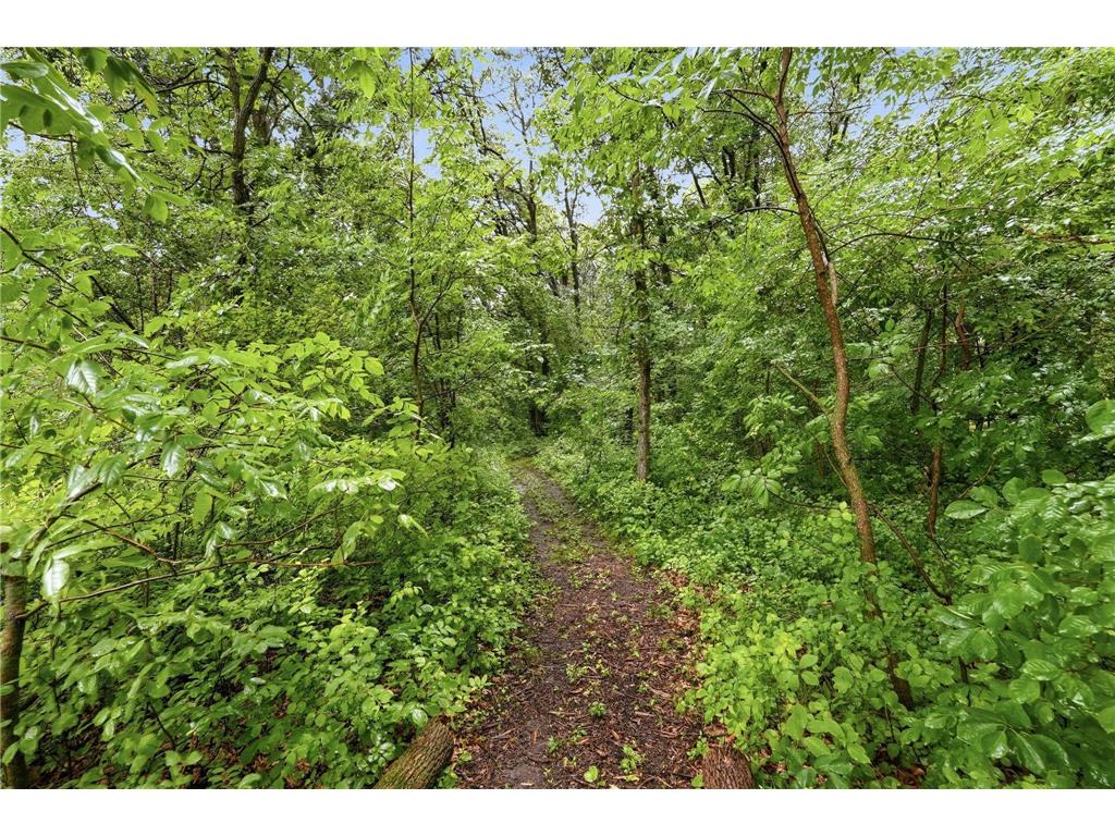 2013 E Oak Knoll Drive NE Alexandria MN 56308 7099157 image32
