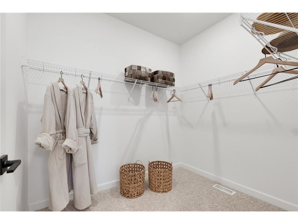 20145 Ginseng Way Lakeville MN 55044 7060232 image18