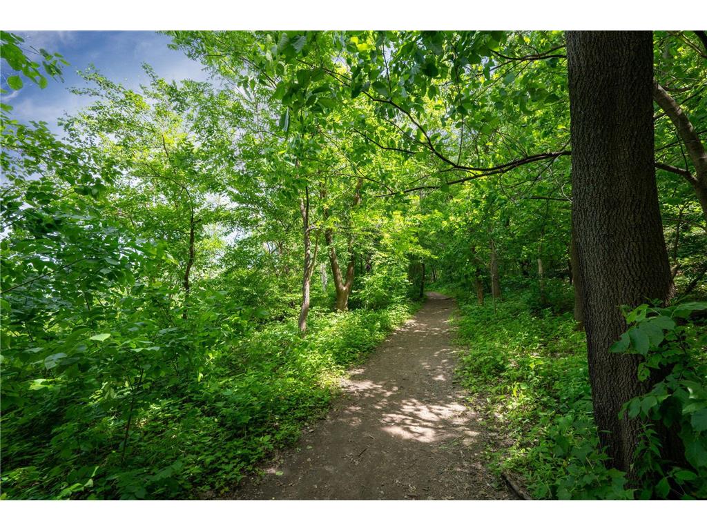 2015 Upton Avenue S Minneapolis MN 55405 - Cedar 7090224 image56