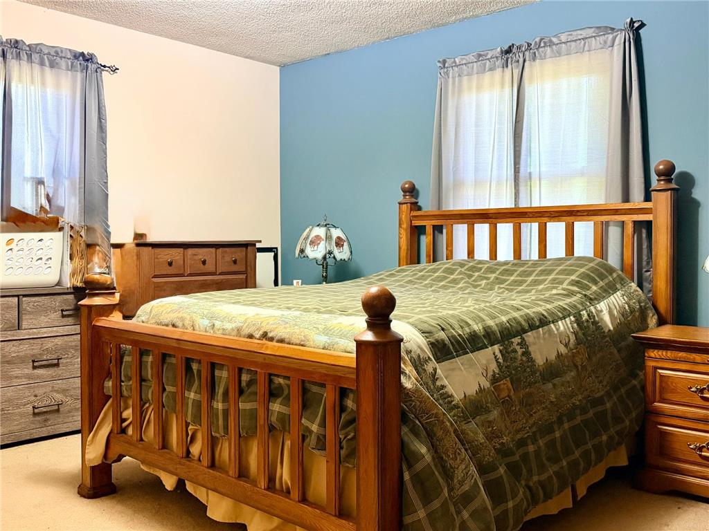 20161 County Road 99 SW Kensington MN 56343 7104129 image14