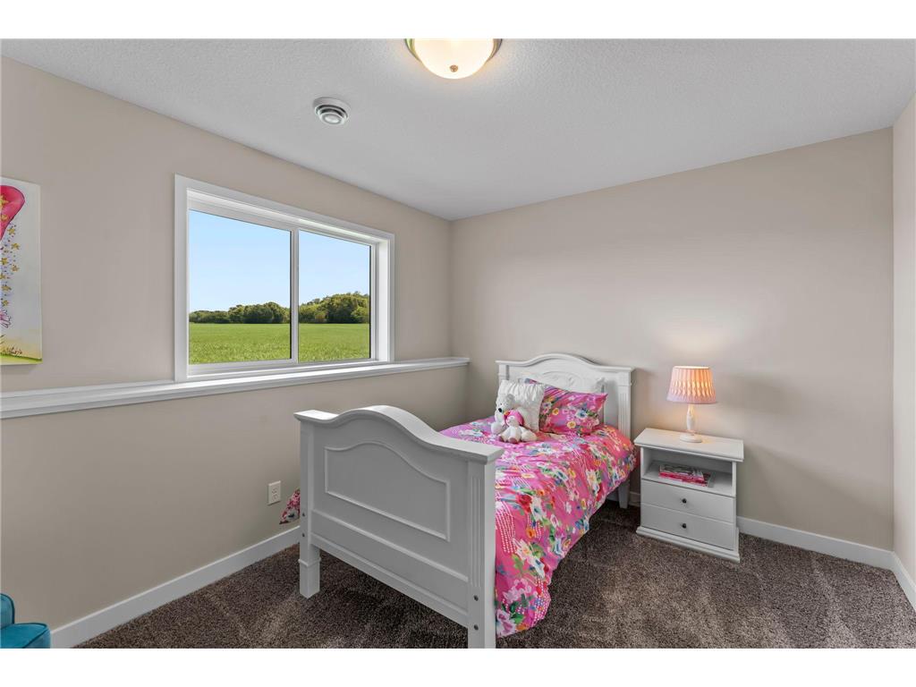 2017 Aster Lane Mankato MN 56001 7040445 image42