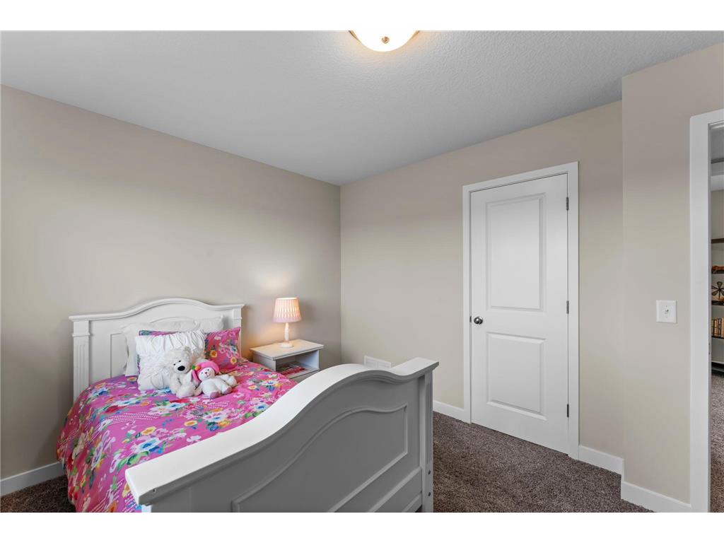 2017 Aster Lane Mankato MN 56001 7040445 image43