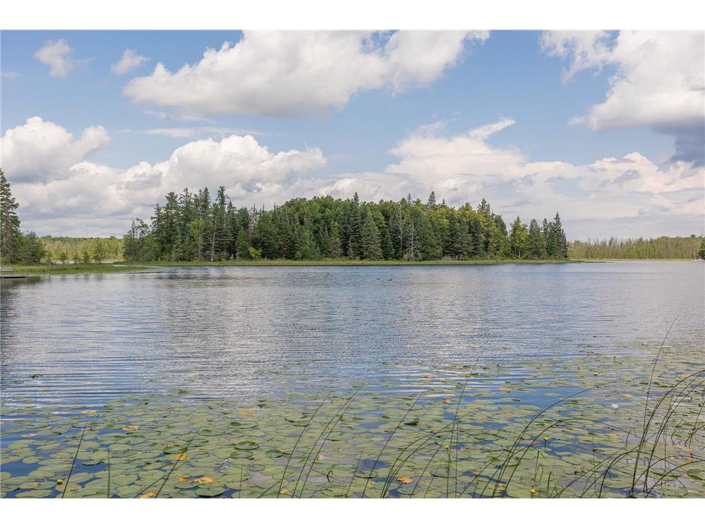 2018 County 5 NW Hackensack MN 56452 - Lost Lake 6751519 image3