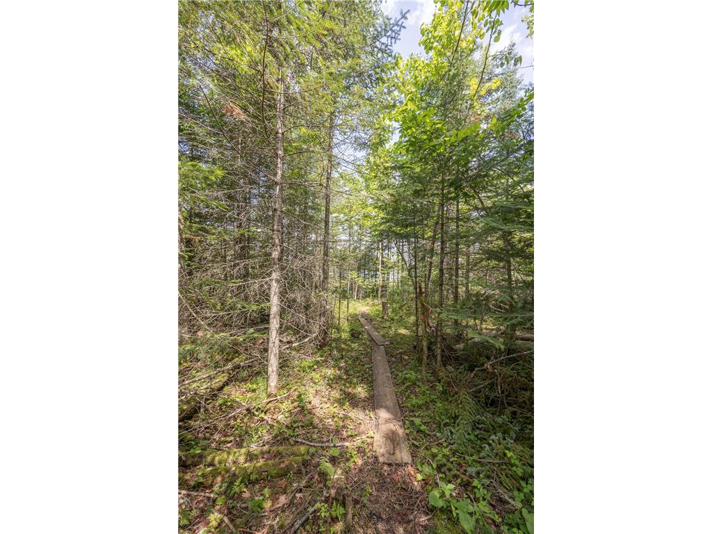 2018 County 5 NW Hackensack MN 56452 - Lost Lake 6751519 image67