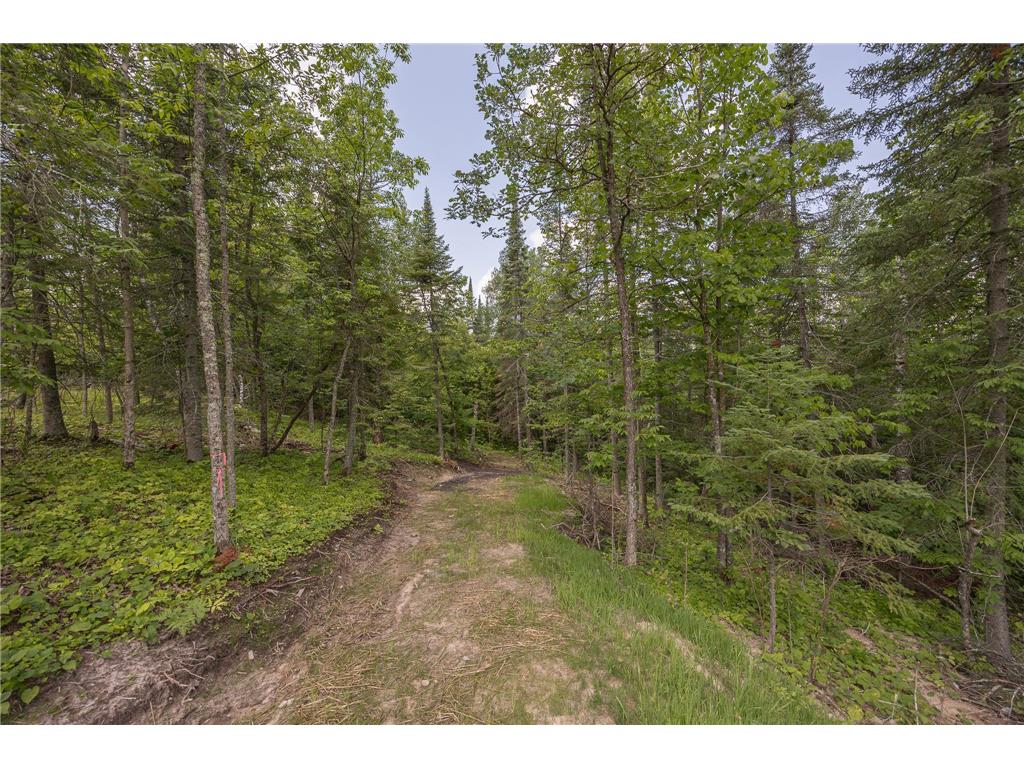 2018 County 5 NW Hackensack MN 56452 - Lost Lake 6751519 image68