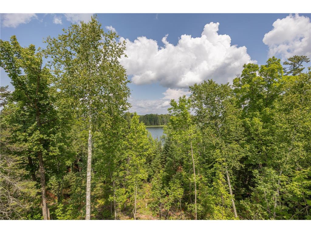 2018 County 5 NW Hackensack MN 56452 - Lost Lake 6751519 image69