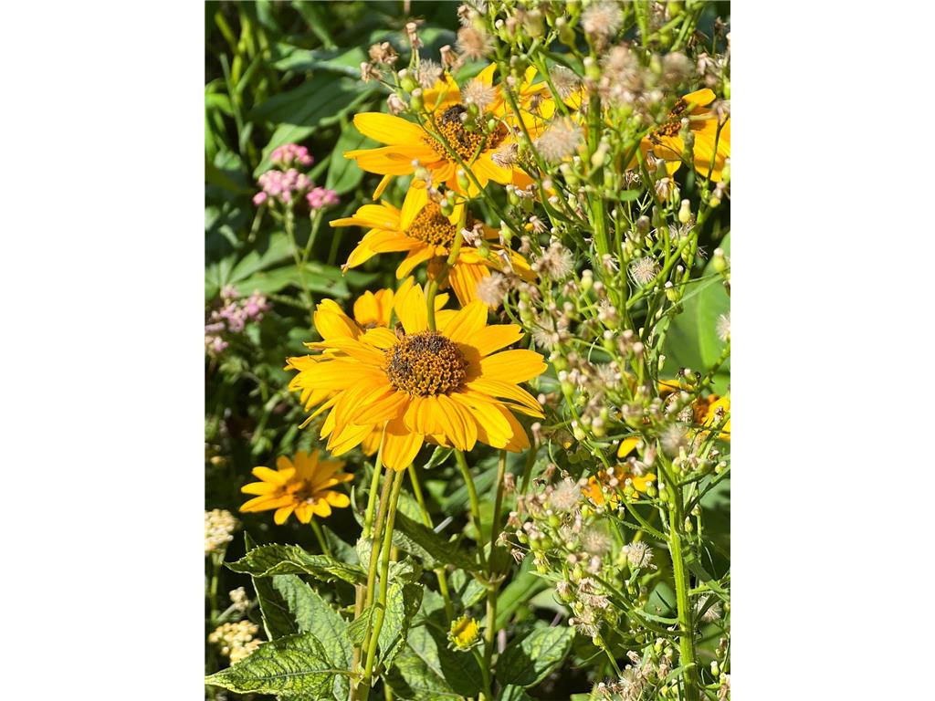 2019 Whiting Road NW Northern Twp MN 56601 6775770 image7