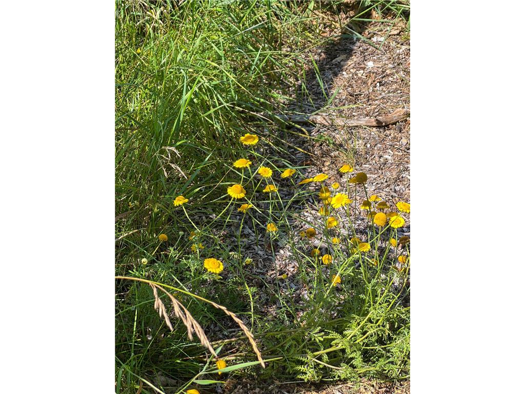 2019 Whiting Road NW Northern Twp MN 56601 6775770 image94