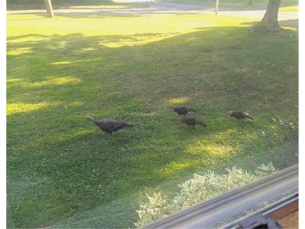 202 2nd Avenue N Frederic WI 54837 6784172 image50